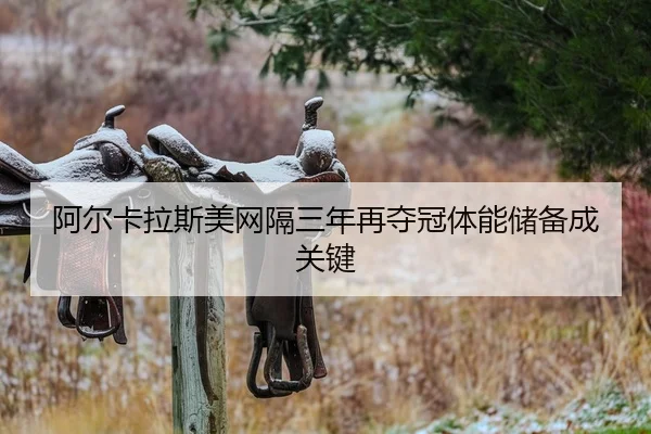 阿尔卡拉斯美网隔三年再夺冠体能储备成关键