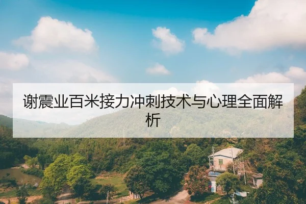 谢震业百米接力冲刺技术与心理全面解析